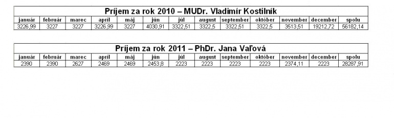Tabu�ka1