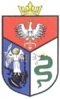 Sanok