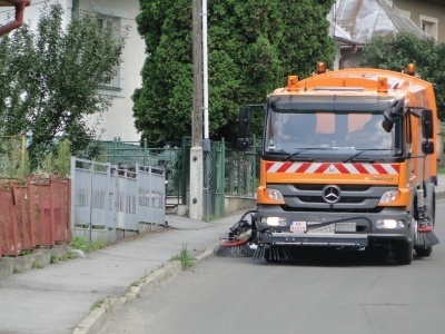 Cistiace_auto4
