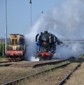 Hviezdou IV. ročníka Dňa železnice bol rušeň Sergej