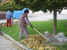 Jesenné upratovanie