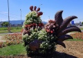 Na kruháč si zasadla sliepka