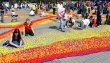 Narcis-