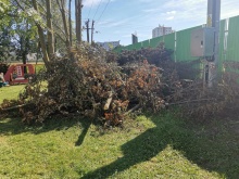 Orez po VSD pozbierali Technické služby