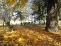 Park Osloboditeľov 2