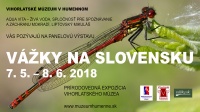 Výstava Vážky na Slovensku vo Vihorlatskom múzeu v Humennom