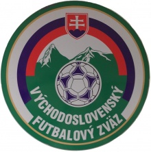 logo vsfz