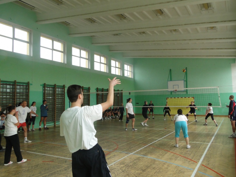 sanok 5