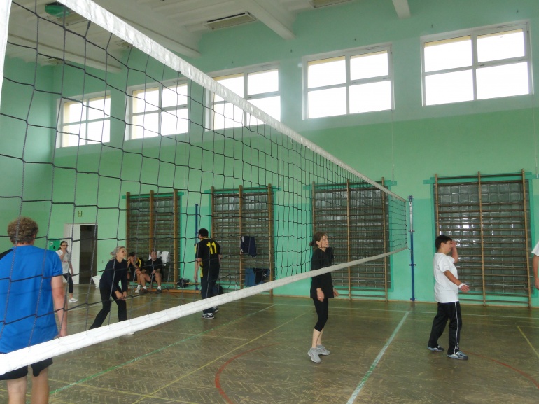 sanok 9