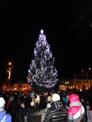 vianočný stromček 2013