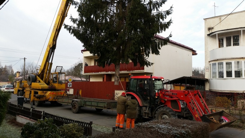 Cesta tohtoročného vianočného stromčeka z Gaštanovej ulice priamo na námestie