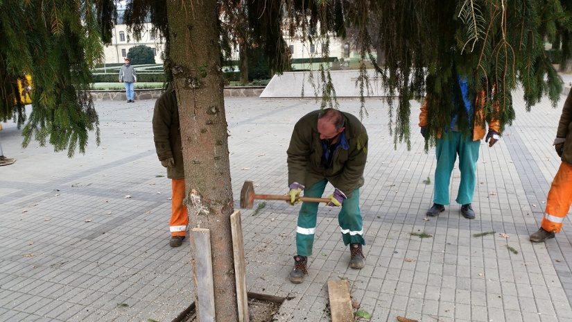 Cesta tohtoročného vianočného stromčeka z Gaštanovej ulice priamo na námestie