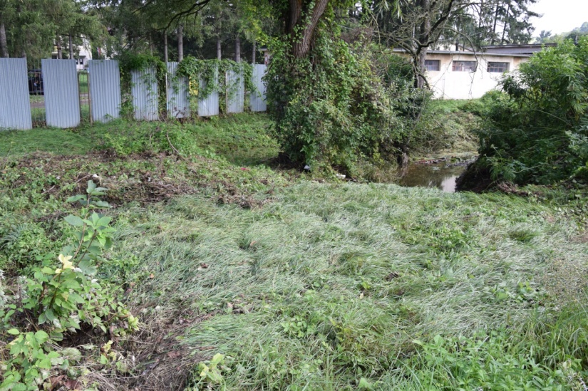 Trávnatý priechod vedľa mosta, ktorý sa navrhol odstrániť