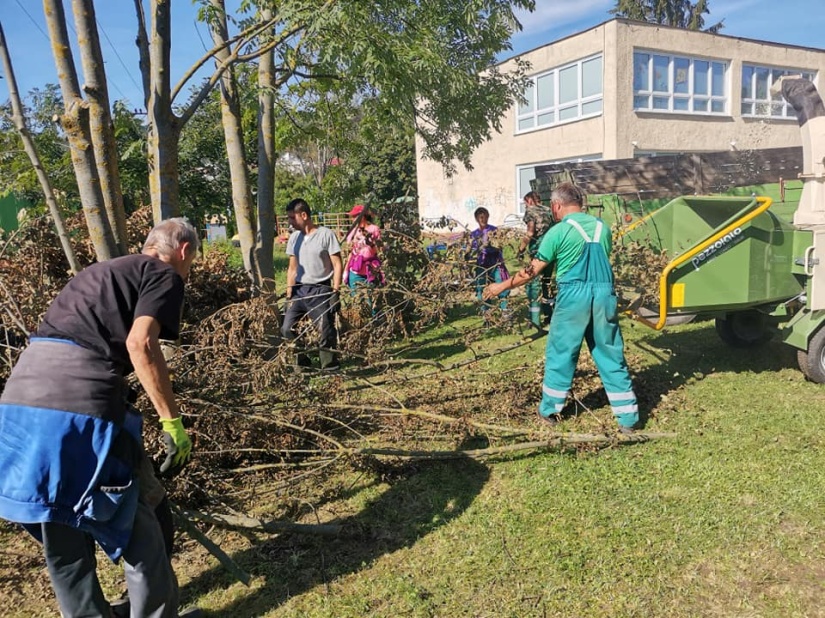 Zber a štiepkovanie konárov