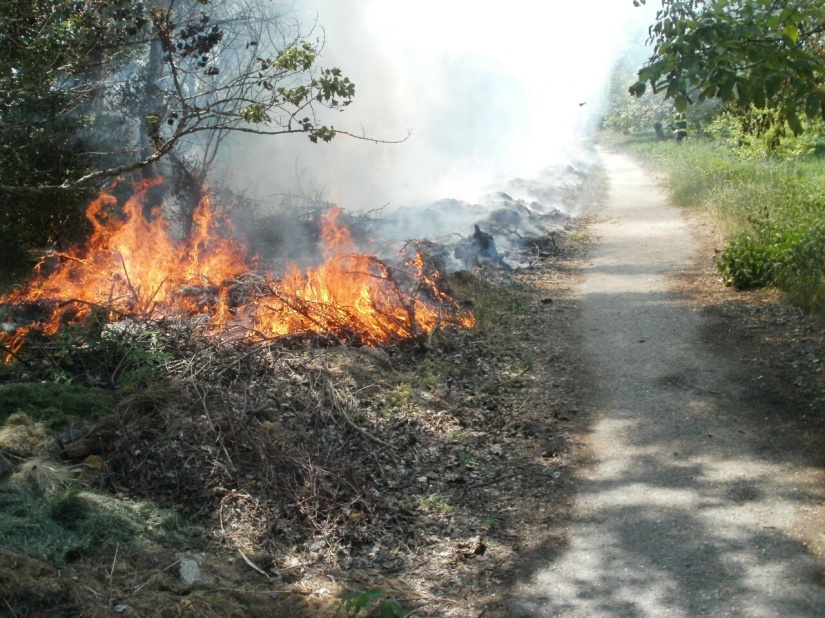 Vypaľovanie tráv a porastov je zakázané