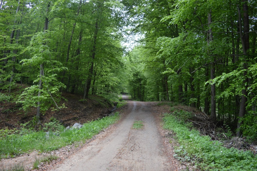 Spoznaj Hubkovú