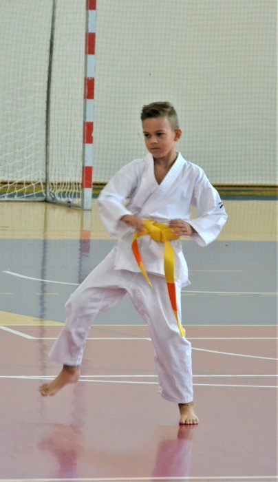 Mestské športové dni - karate a plávanie