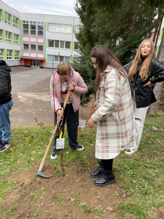 Výzva "Zasaď strom!" 2021