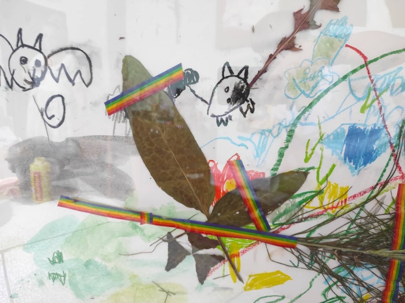 Téma: fauna & flóra