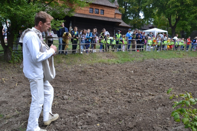 Deň tradičných remesiel 2022 - siatie raže