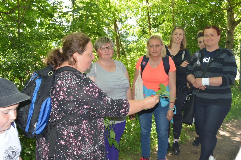 Workshop v teréne - Spoznávanie bylín