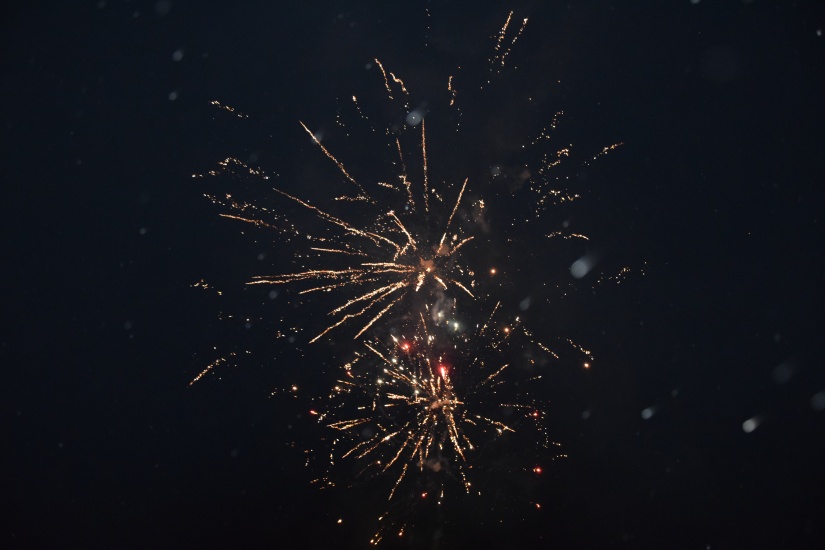 PF 2024!