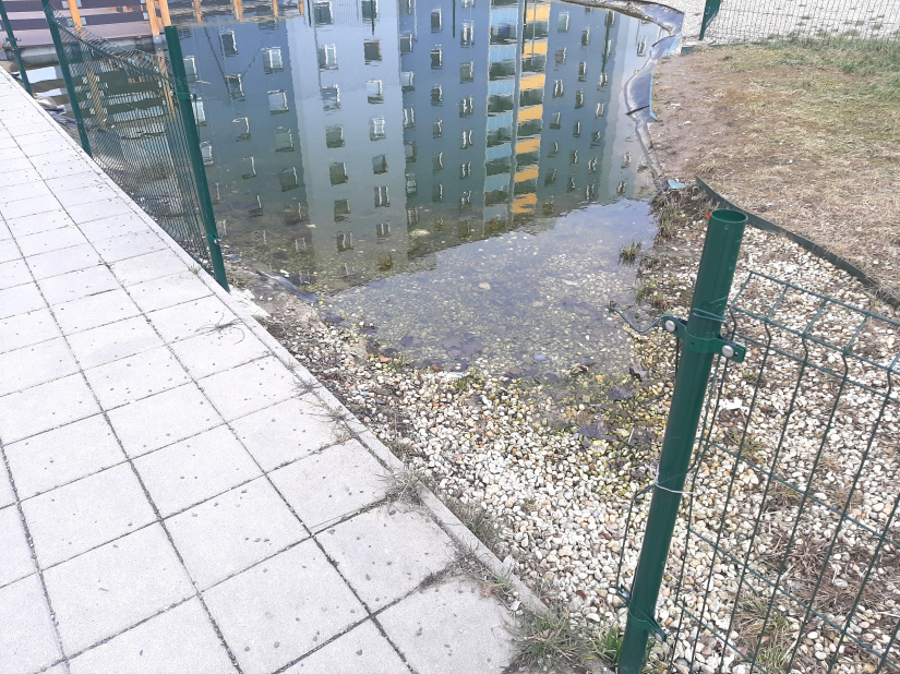 Prírodné jazierko na sídlisku (zničené oplotenie)