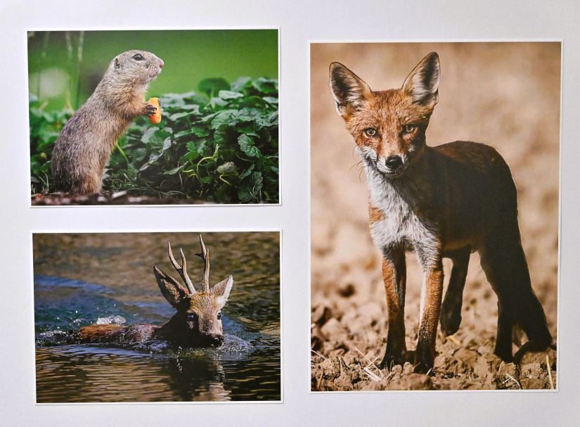 Výstava fotografií "Mojimi očami" - Peter Šimurda