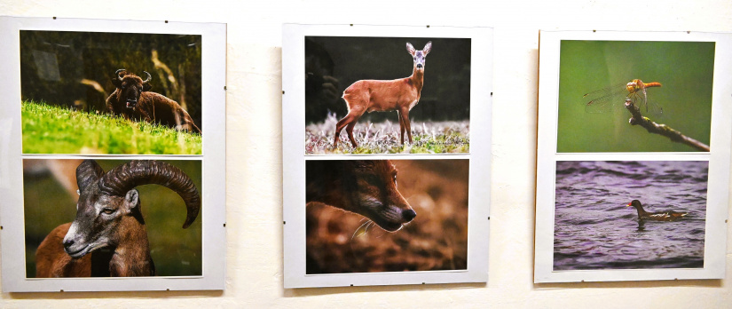 Výstava fotografií "Mojimi očami" - Peter Šimurda