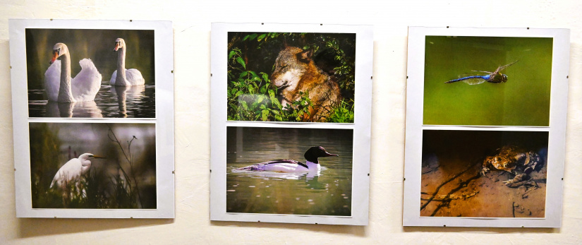 Výstava fotografií "Mojimi očami" - Peter Šimurda