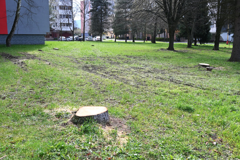 Rekonštrukcia potrubí - výrub drevín