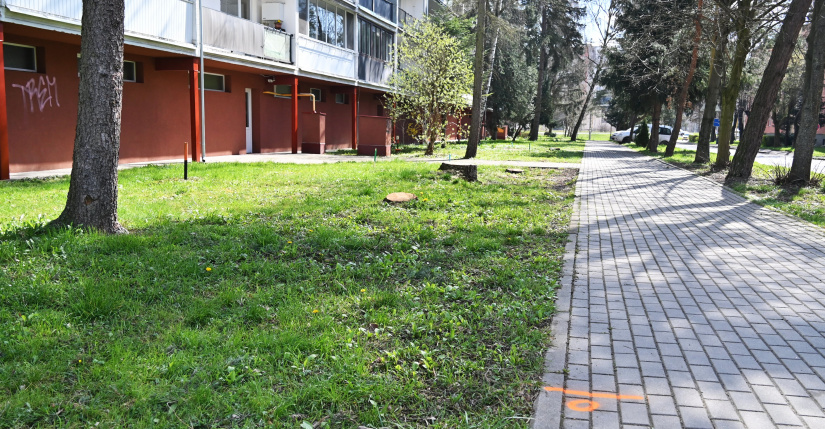 Rekonštrukcia potrubí - výrub drevín