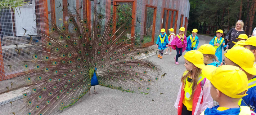 MŠ Štefánikova v košickej ZOO / DinoPark