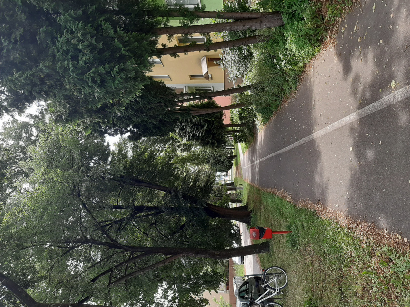 Ochladenie v horúčavách