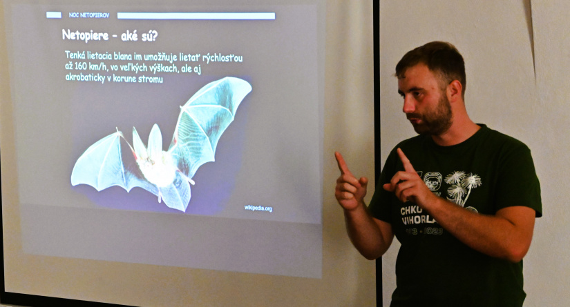 Noc netopierov 2024