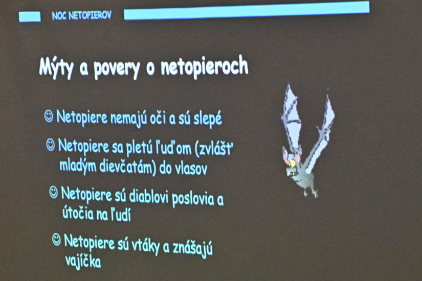 Noc netopierov 2024