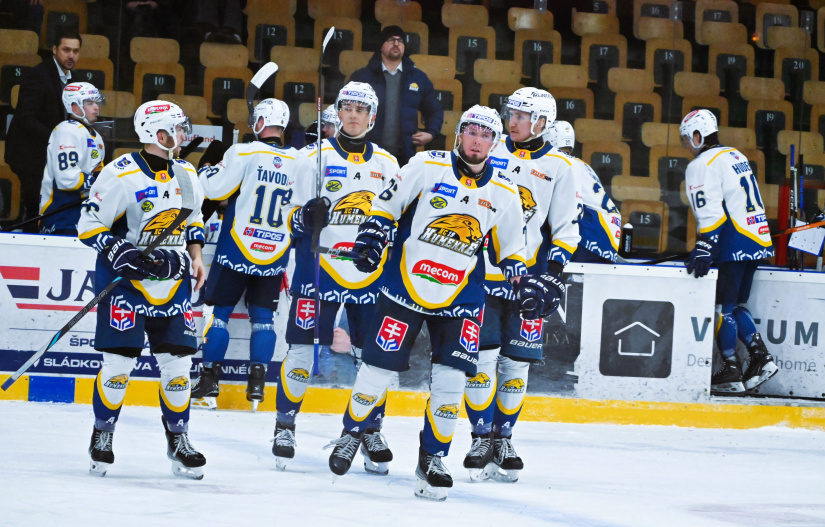 HC 19 Humenné - Levice 6:1