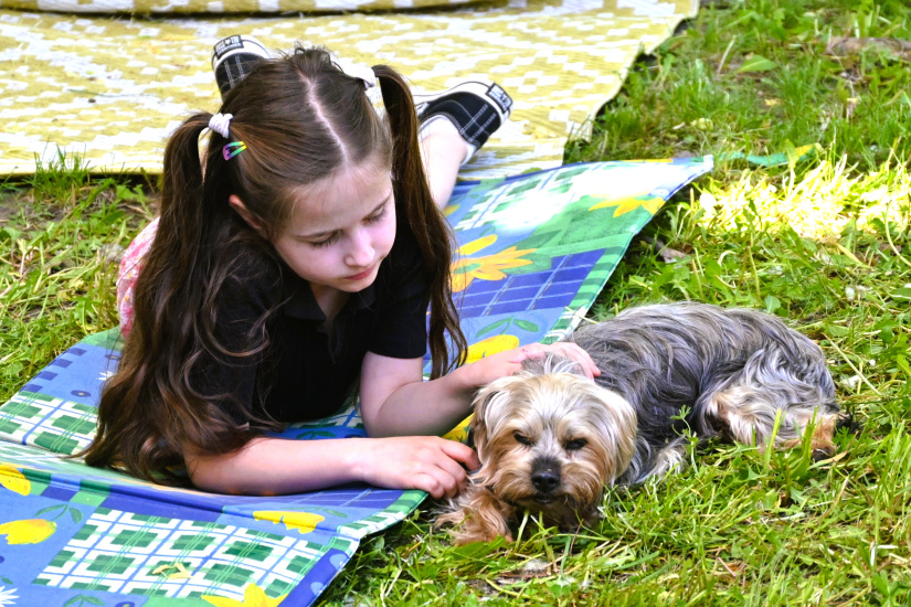 Minifestival starostlivosti a adopcie "Chvost hore"