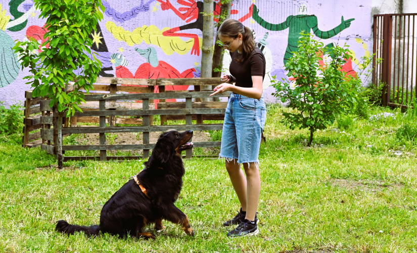Minifestival starostlivosti a adopcie "Chvost hore"