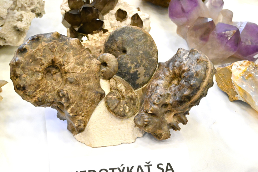 Predajná výstava minerálov