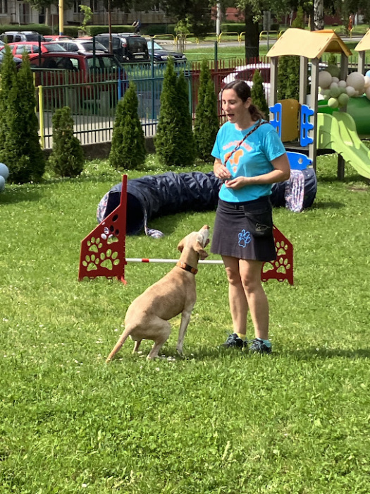 MDD / MŠ Mierová