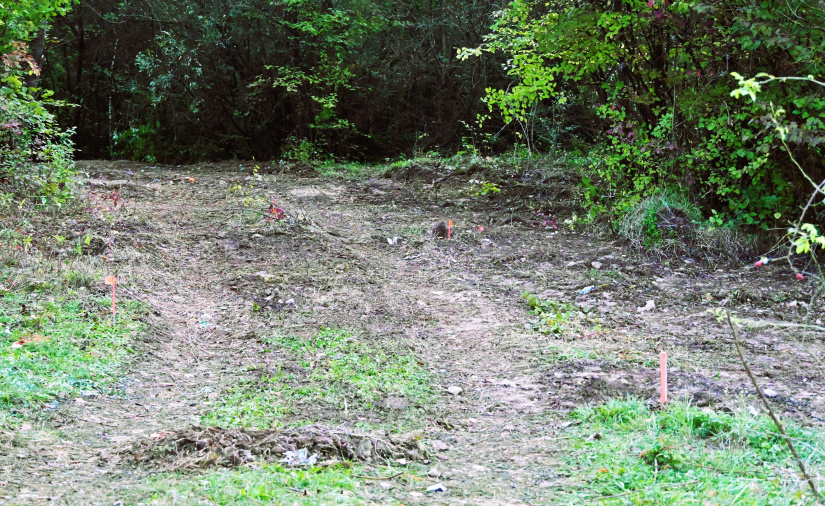 Park Sokolej (práce 40. týždeň 2025)