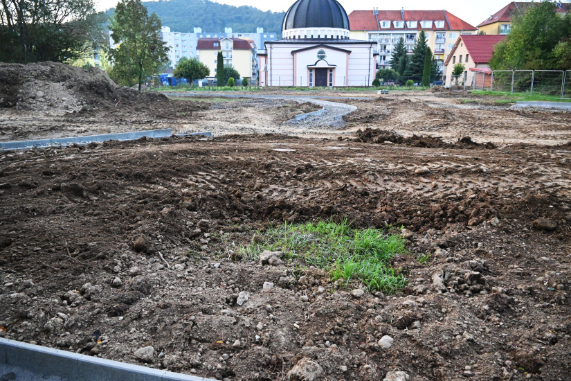 Park Sokolej (práce 40. týždeň 2025)- hniezdisko chráneného mravca lesného