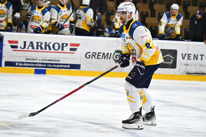 HC 19 Humenné - Topoľčany 6:2