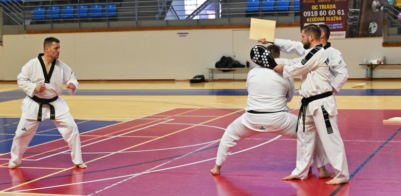 Taekwondo klub Humenné má 30 rokov. Slávnostná akadémia