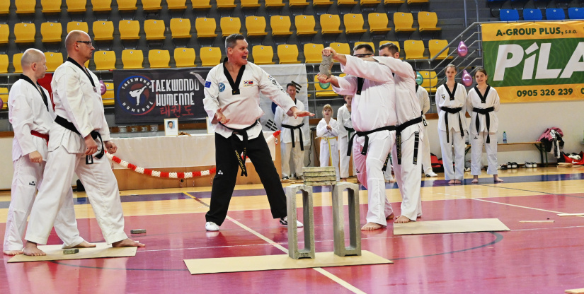 Taekwondo klub Humenné má 30 rokov. Slávnostná akadémia