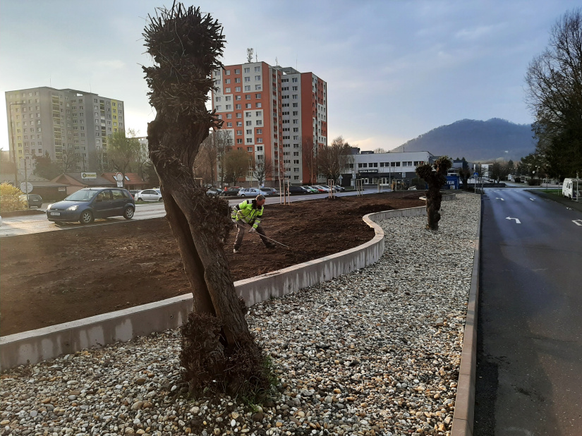 Zelená a modrá infraštruktúra (marec/apríl 2026, 14. týždeň) / Zelená alej