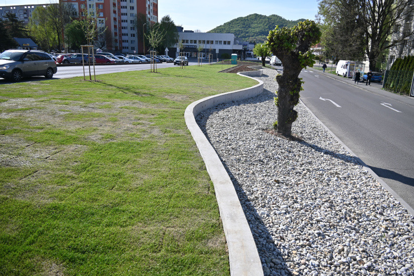 Zelená a modrá infraštruktúra (apríl 2026, 17. týždeň) / Zelená alej