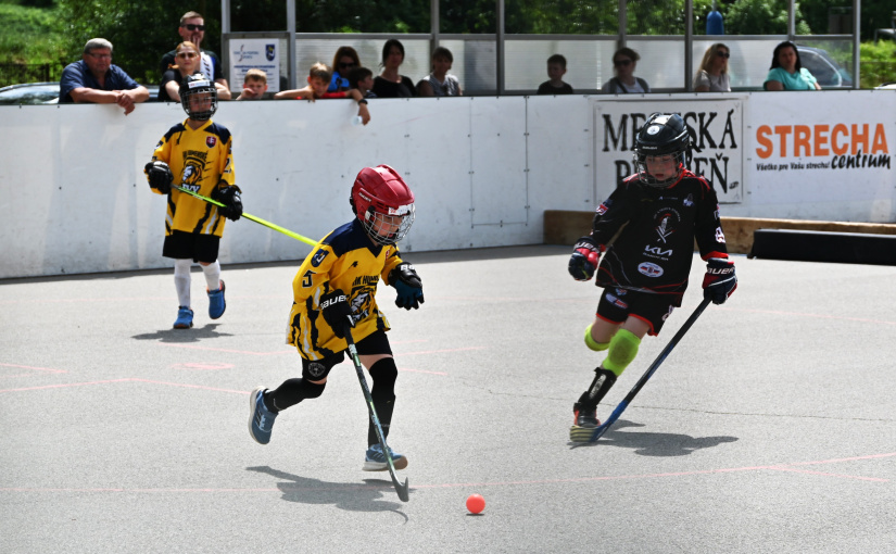 TATRAHAUS CUP 2026 / hokejbal