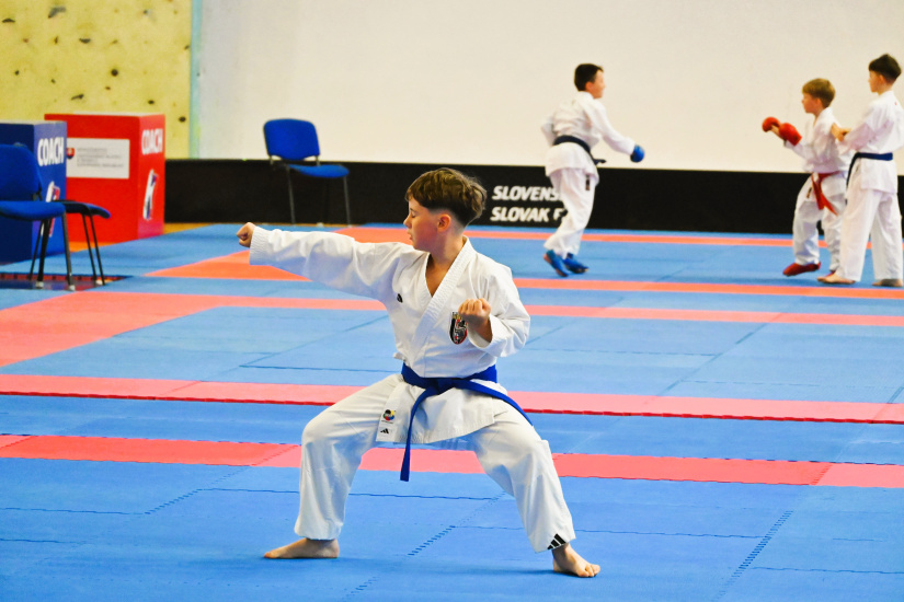 Pohár regionálnych zväzov v karate 2026 / 40 rokov Klubu karate Humenné